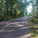 Nad Morzem Osrodek Baltica, * Wicie (West Pomeranian)
