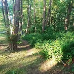 Nad Morzem Osrodek Baltica, Vakantiehuis *