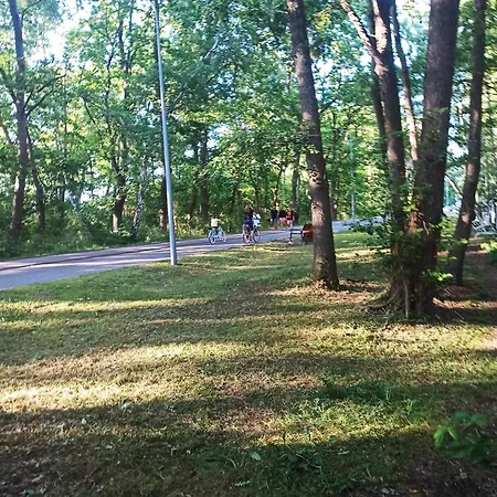 Nad Morzem Osrodek Baltica, Wicie (West Pomeranian)