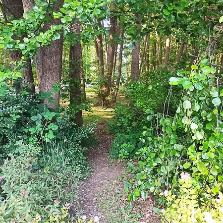 Nad Morzem Osrodek Baltica, Wicie Holiday home