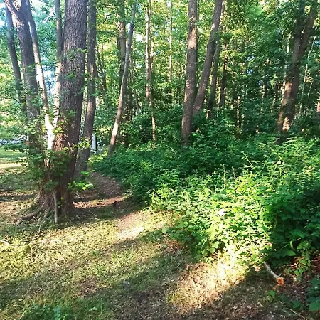 Nad Morzem Osrodek Baltica, بيت للعطل *